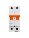Disjoncteur Magnétothermique Résidenciel 2P 6kA 10-40A Courbe C RX³ LEGRAND 419934