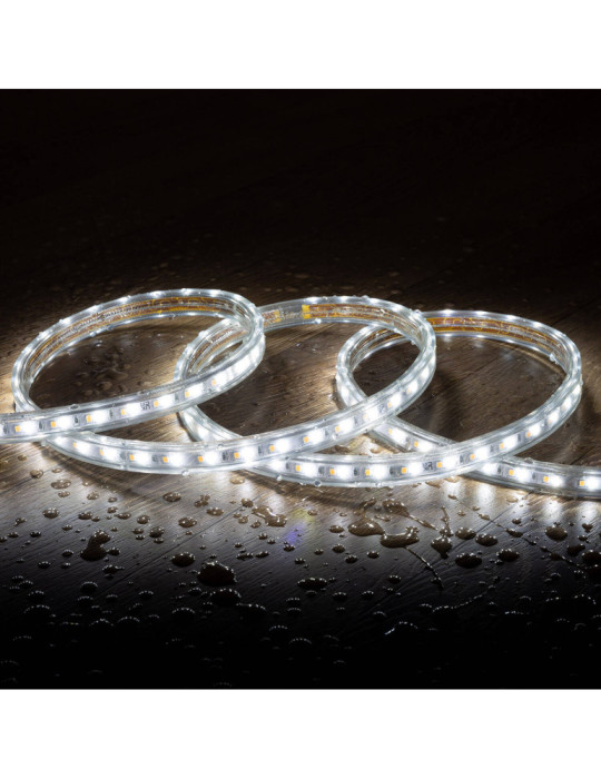 Ruban LED CCT 220V AC 120 LED/m IP65 Largeur 14mm Coupe tous les 100cm sur Mesure