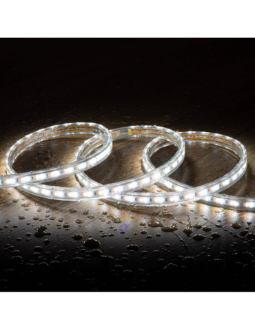 Ruban LED CCT 220V AC 120 LED/m IP65 Largeur 14mm Coupe tous les 100cm sur Mesure