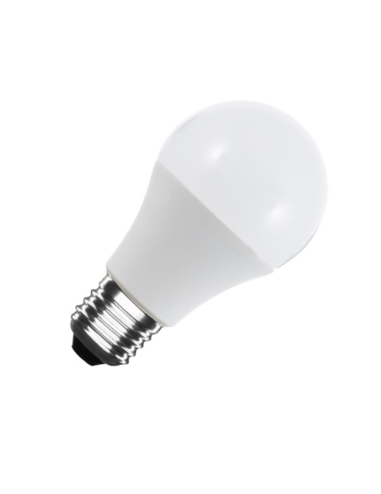 Ampoule LED 12/24V E27 10W 820 lm A60 Ampoule LED 12/24V E27 10W 820 lm A60