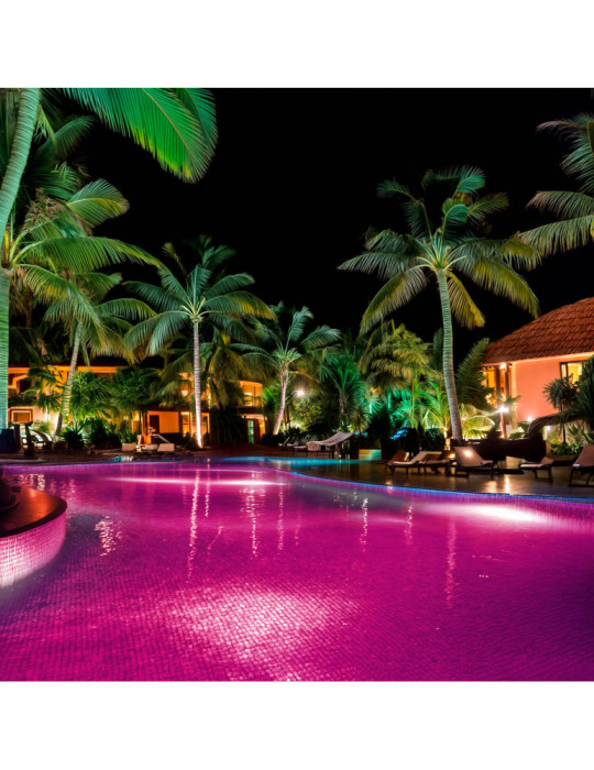 Spot LED Piscine en Saillie Inox RGBW Submersible 12V DC IP68 20W