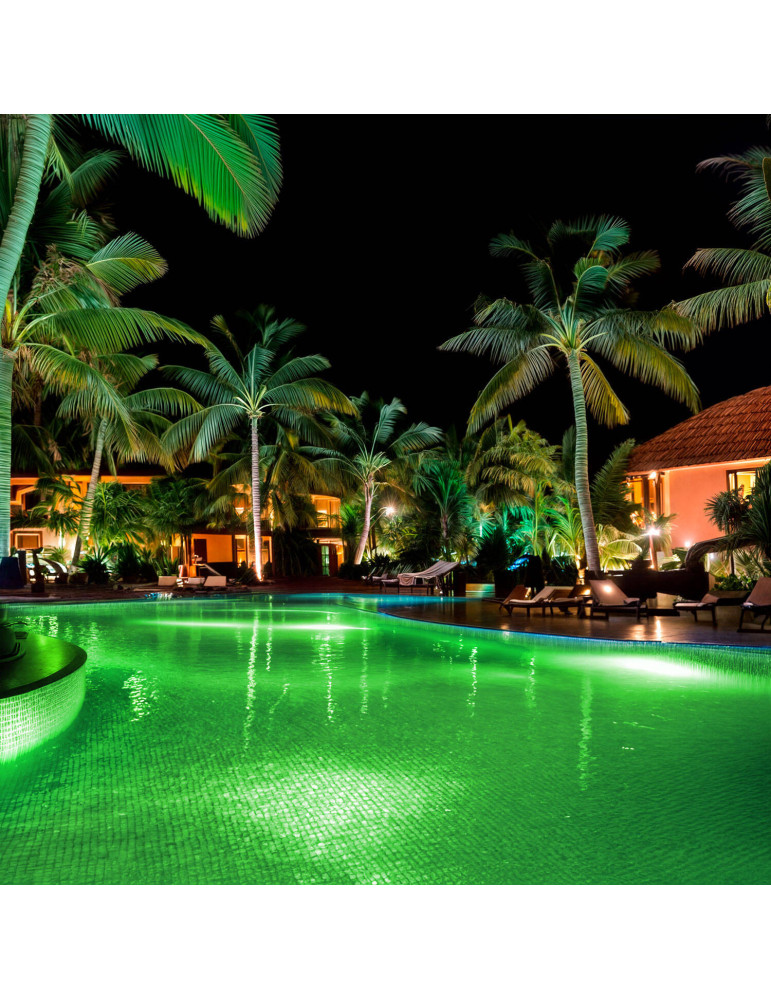 Spot LED Piscine en Saillie Inox RGBW Submersible 12V DC IP68 20W