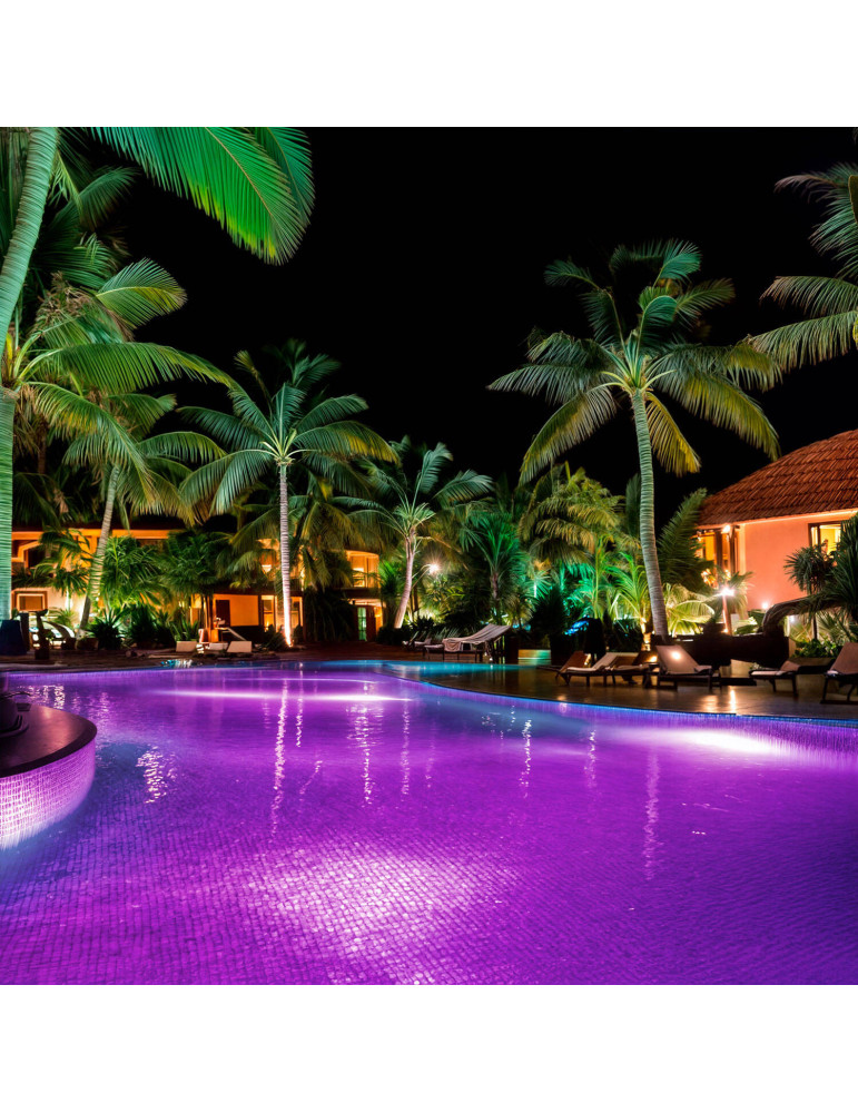 Spot LED Piscine en Saillie Inox RGBW Submersible 12V DC IP68 20W