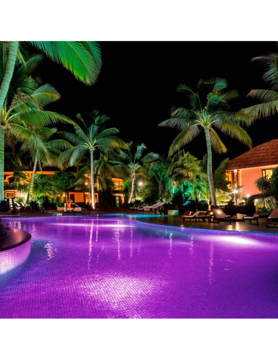 Spot LED Piscine en Saillie Inox RGBW Submersible 12V DC IP68 20W