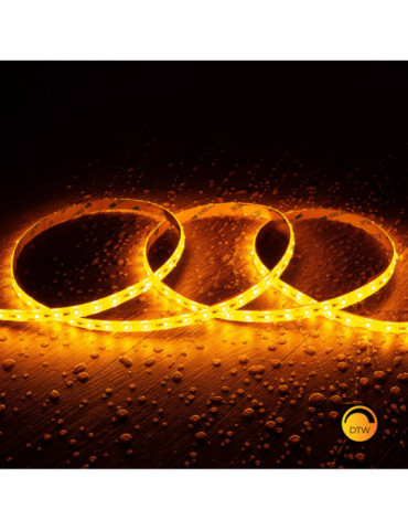 Ruban LED 24V DC Dimmable SMD2835 140 LED/m 5m IP65 Largeur 10mm Coupe tous les 100cm Dim to Warm