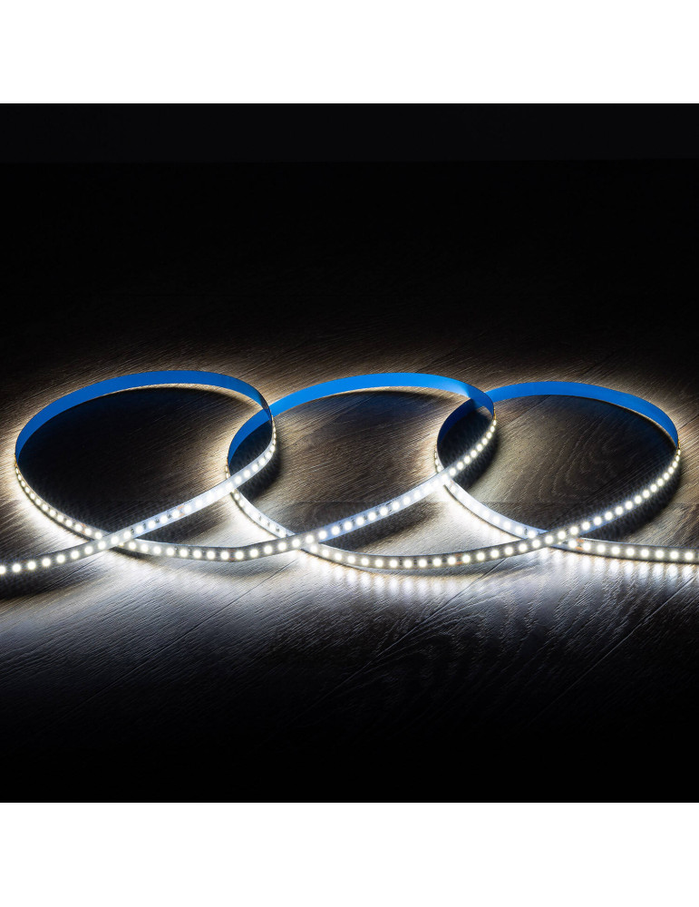 Bobine LED 48V DC 50 m 120 LED/m IP20 Largeur 10mm Coupes tous les 10 cm