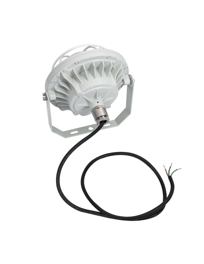 Spot LED Rond 60W ATEX