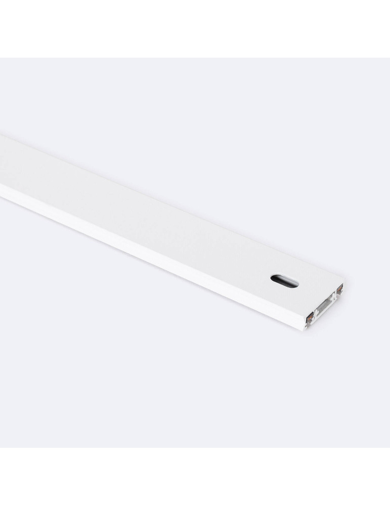 Rail Magnétique 25mm Extra-Plat en Saillie 48V 2m