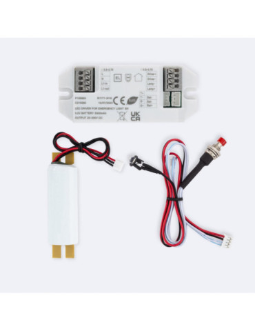 Driver avec Batterie pour Éclairage de Secours 20-200V DC 3W