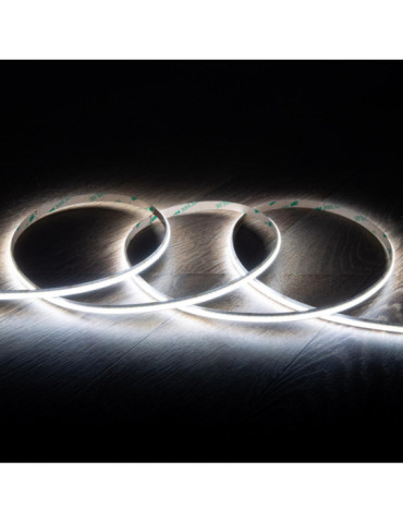 Ruban LED 24V DC WCOB 256 LED/m 5m IP20 CRI90 Largeur 8mm coupe tous les 3