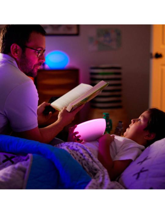 Lampe à Poser LED Portable White Color Go 6W PHILIPS Hue
