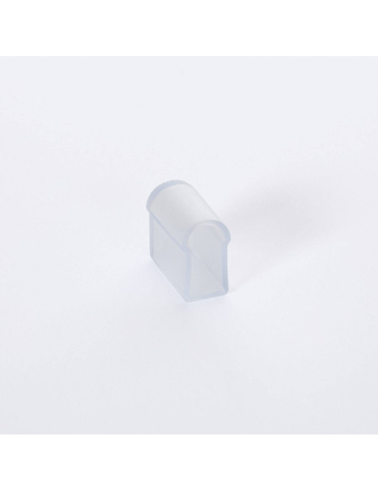 Embout pour ruban néon LED RGB dimmable 220V SFLEX12.
