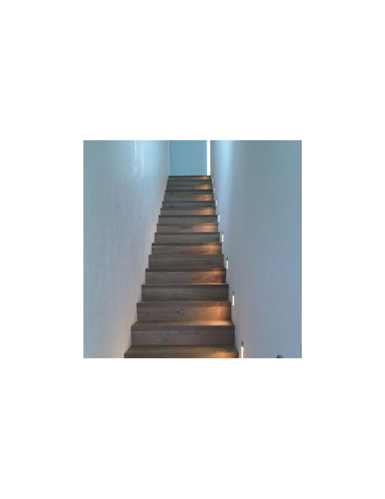 Balise LED 1.5W Encastrable au Mur Randy Blanche