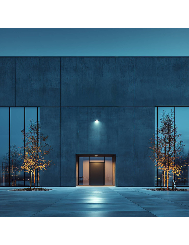 Projecteur LED 30W IP65 S2 Pro