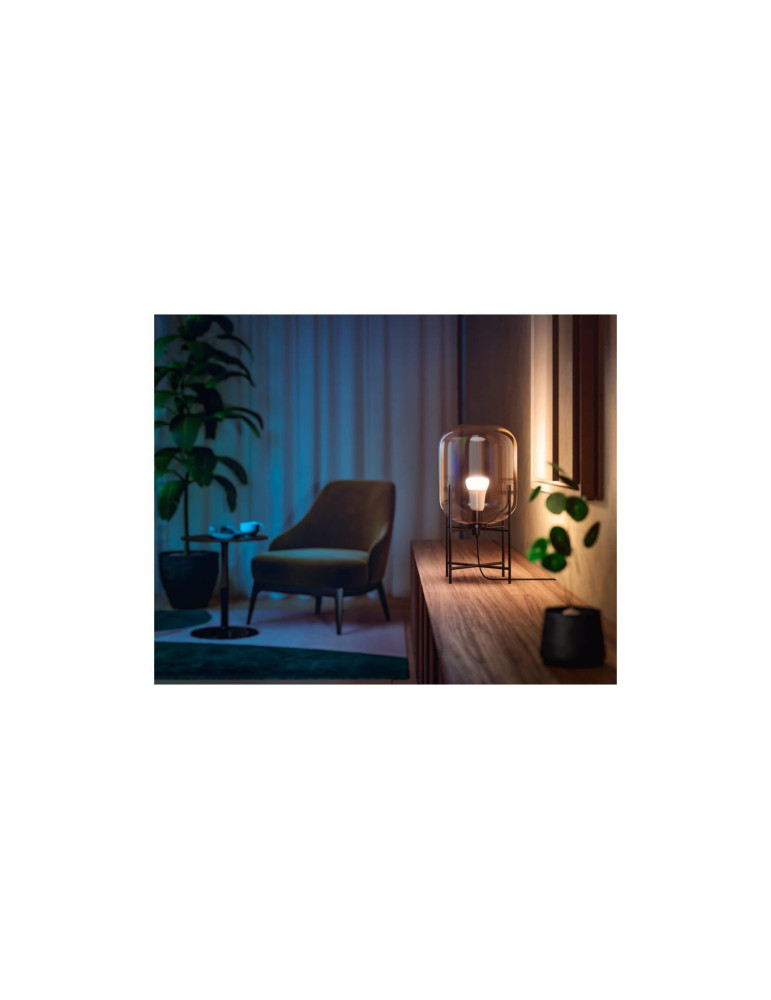 Pack 2 Ampoules LED Intelligentes E27 6.5W 570 lm A60 PHILIPS Hue White