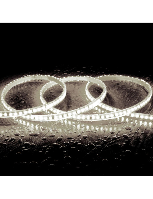 Ruban LED Dimmable Auto-redressement 220V SMD2835 120LED/m 1000 lm/m IP65 Largeur 12mm sur mesure Coupe tous les 10cm