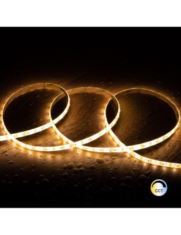 Ruban LED CCT 24V DC SMD2835 60LED/m 5m IP65 Largeur 10mm Coupe 5cm