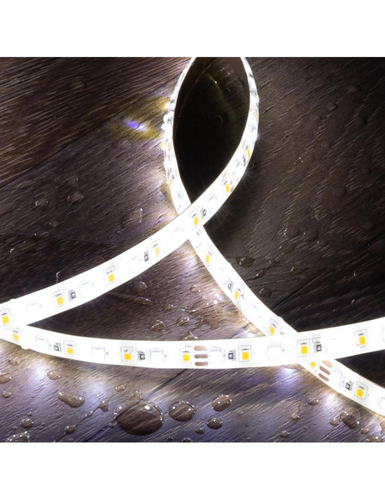 Ruban LED CCT 24V DC SMD2835 60LED/m 5m IP65 Largeur 10mm Coupe 5cm