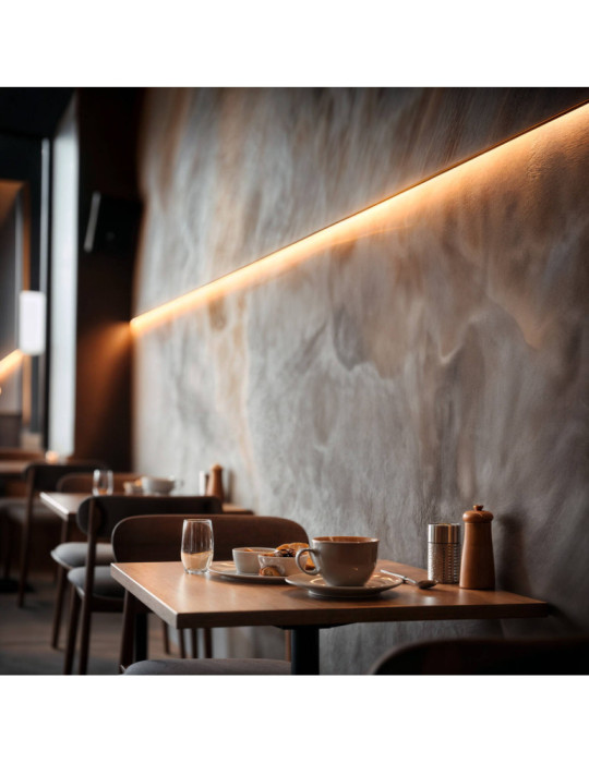 Ruban LED CCT 24V DC SMD2835 60LED/m 5m IP65 Largeur 10mm Coupe 5cm