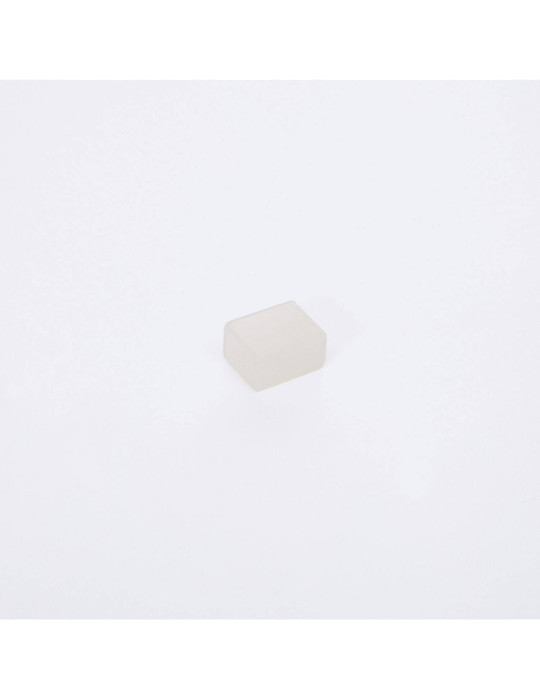 Embout de finition pour Gaine Néon LED 24/48V DC 6x12 mm NFLEX6