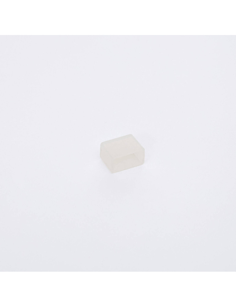 Embout de finition pour Gaine Néon LED 24/48V DC 6x12 mm NFLEX6