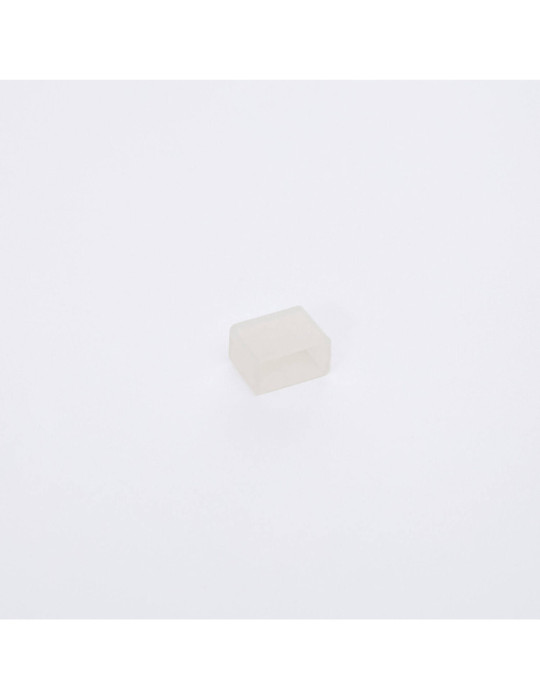 Embout de finition pour Gaine Néon LED 24/48V DC 6x12 mm NFLEX6