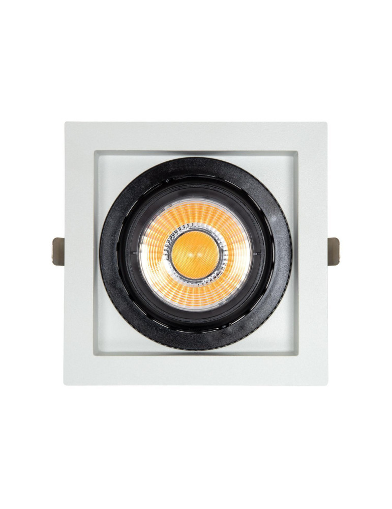 Spot LED Downlight COB Carré Orientable 360º Expert Color No Flicker CRI90 18W Coupe 125x125mm Expert Color