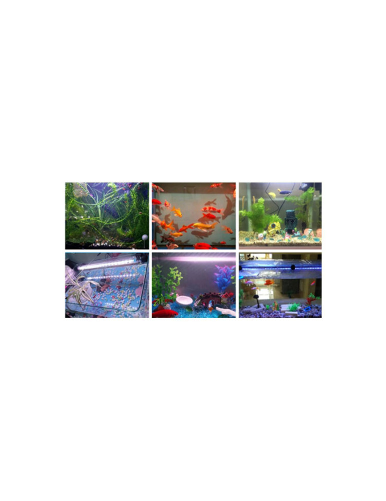 Lumière  Aquarium LED RGBW 1.5W IP67
