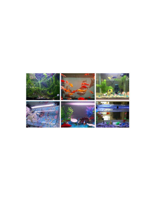 Lumière  Aquarium LED RGBW 1.5W IP67