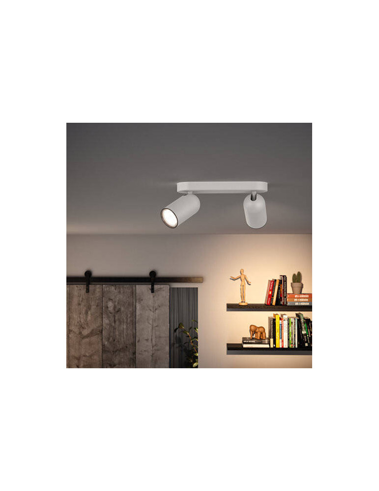 Plafonnier PHILIPS 2 Spots Pongee