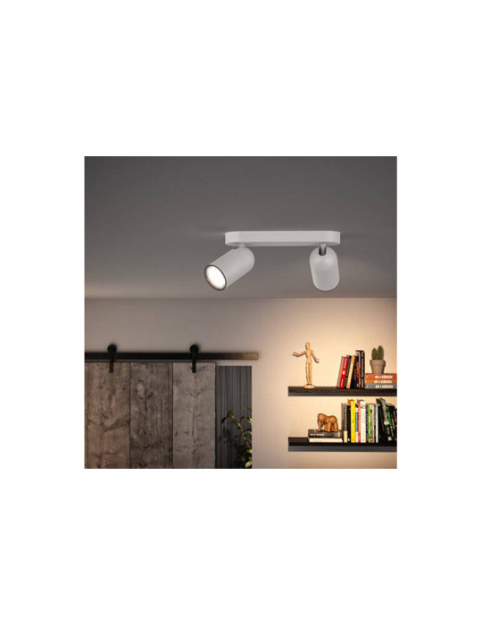 Plafonnier PHILIPS 2 Spots Pongee