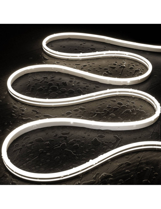 Bobine Gaine Néon LED 24V DC NFLEX6 FreeCut 50 Mètres IP65