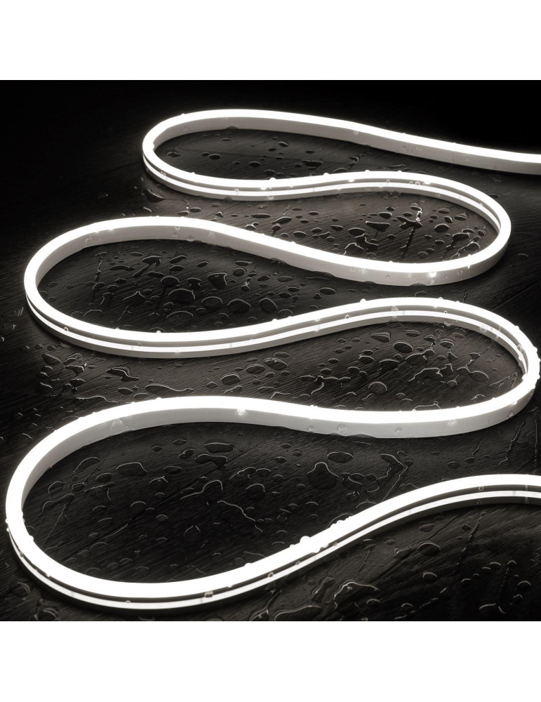 Gaine Néon LED 48V DC NFLEX6 120 LED/m Blanc Froid IP65 sur Mesure Coupe tous les 5 cm Gaine Néon LED 48V DC NFLEX6 120 LED/m Blanc Froid IP65 sur Mesure Coupe tous les 5 cm