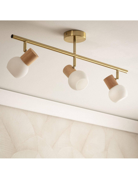 Plafonnier Métal et Verre Alan 3 Spots