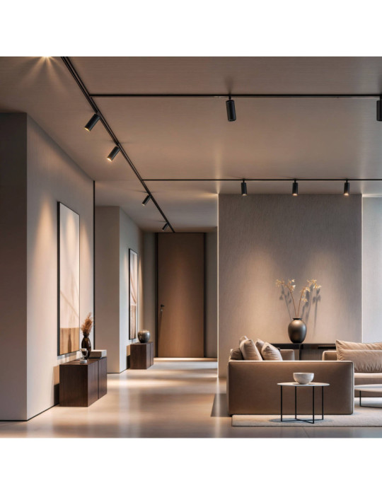 Spot LED sur Rail Triphasé 30W Bertha LIFUD Noir