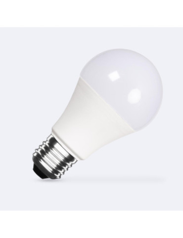Ampoule LED 12/24V E27 10W 1000 lm A60