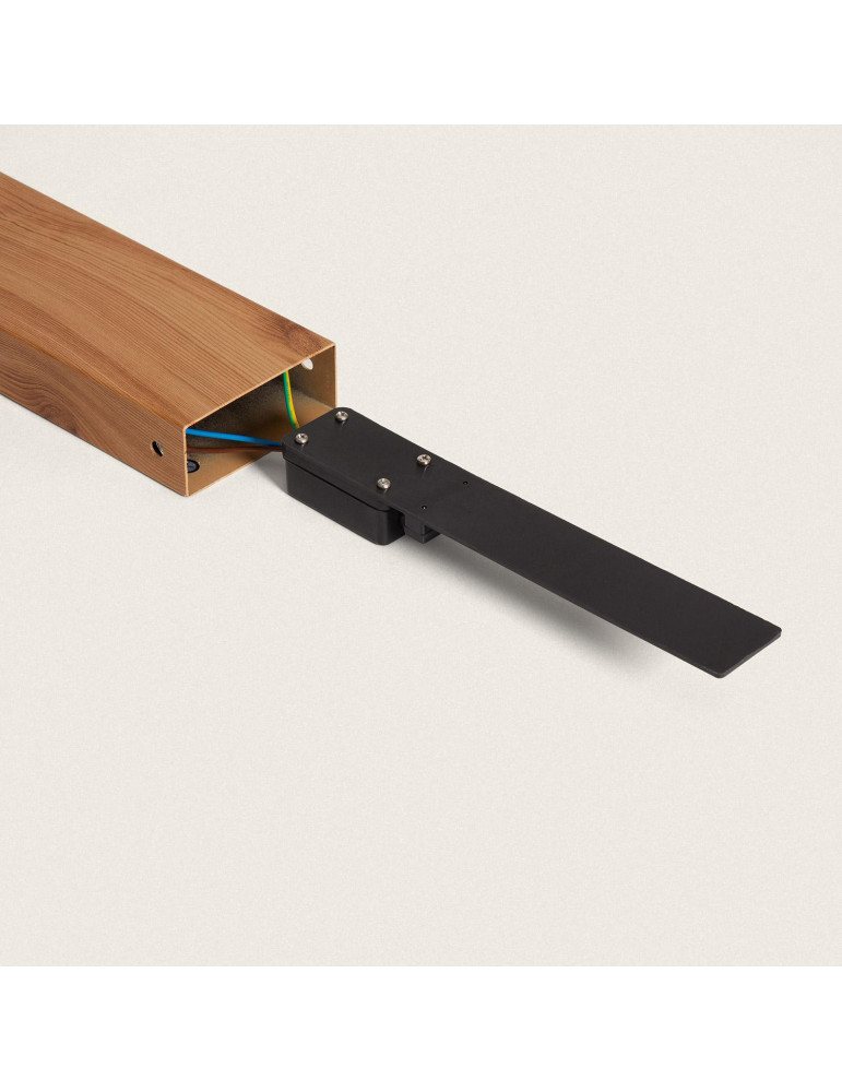 Balise Extérieur en Saillie sur Pied 50cm Acier et Verre Sentinel