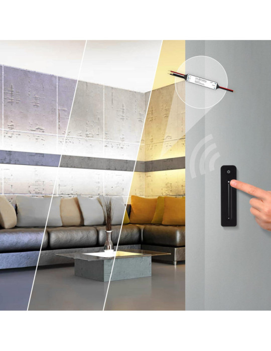 Télécommande RF pour Module de Variation LED Monochrome 1-10V et Triac