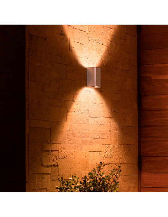 Applique Murale LED Extérieure White Color Resonate Inox 2x8W PHILIPS Hue