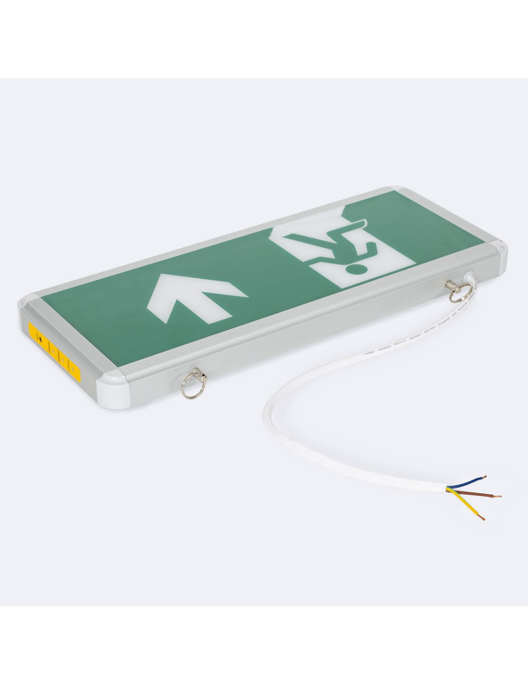Éclairage de Secours LED Suspendu 60 lm Permanent avec Panneau Double Face