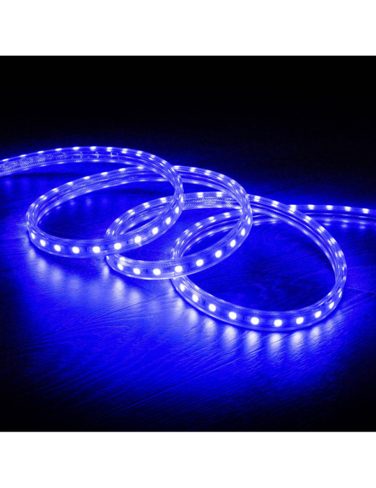 Ruban LED 220V AC 60LED/m RGB IP65 avec Contrôleur IR sur Mesure Largeur 16mm Coupe tous les 100cm