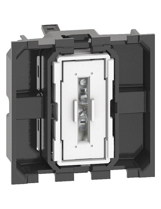 Va-et-Vient 2 Modules 10 AX 250V AC BTicino Living Now K4003M2A Va-et-Vient 2 Modules 10 AX 250V AC BTicino Living Now K4003M2A