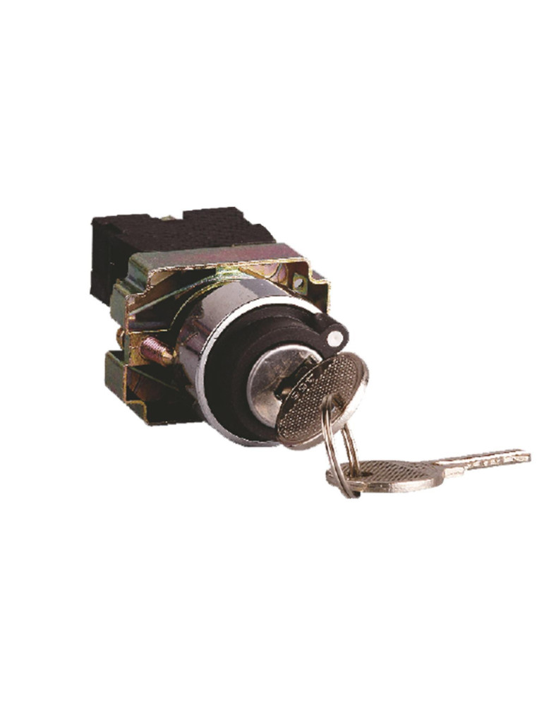 Sélecteur à Clé Ronis Nº455 2 Positions MAXGE