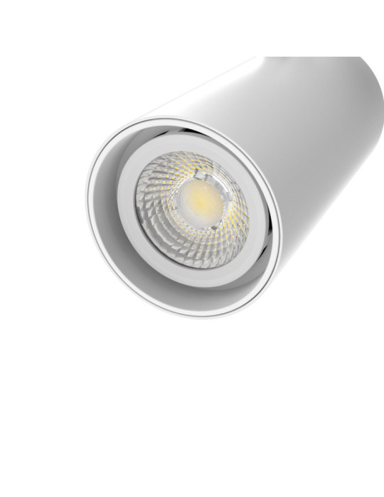 Spot LED sur Rail Triphasé 20W Fasano Dimmable CCT Blanc