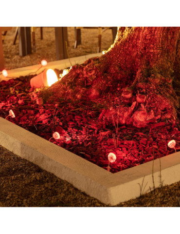 Lumière Extérieur LED RGBW 5W WiFi Gardenspot