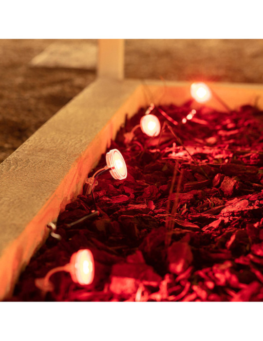 Lumière Extérieur LED RGBW 5W WiFi Gardenspot