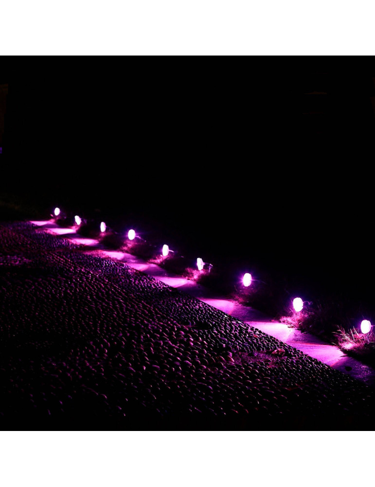 Lumière Extérieur LED RGBW 5W WiFi Gardenspot