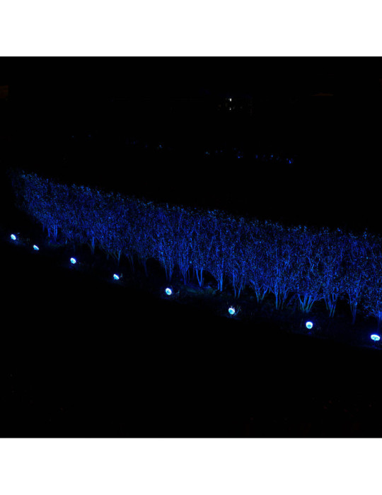 Lumière Extérieur LED RGBW 5W WiFi Gardenspot