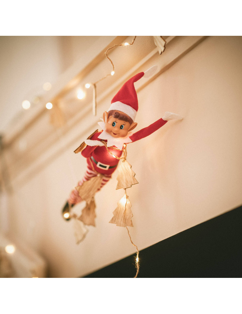 Guirlande LED Tirza de Noël à Piles 2.2m