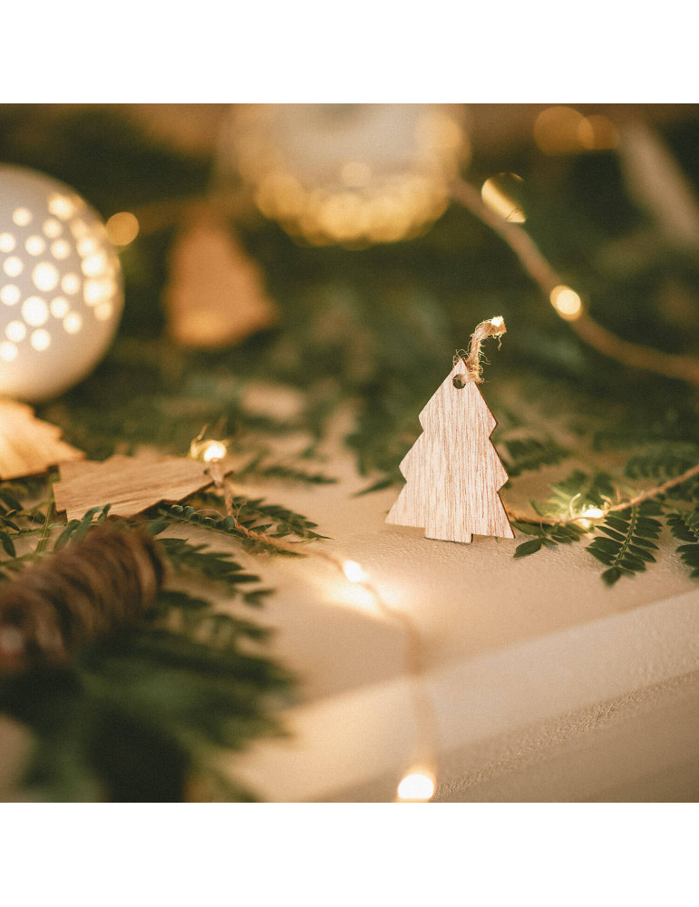 Guirlande LED Tirza de Noël à Piles 2.2m